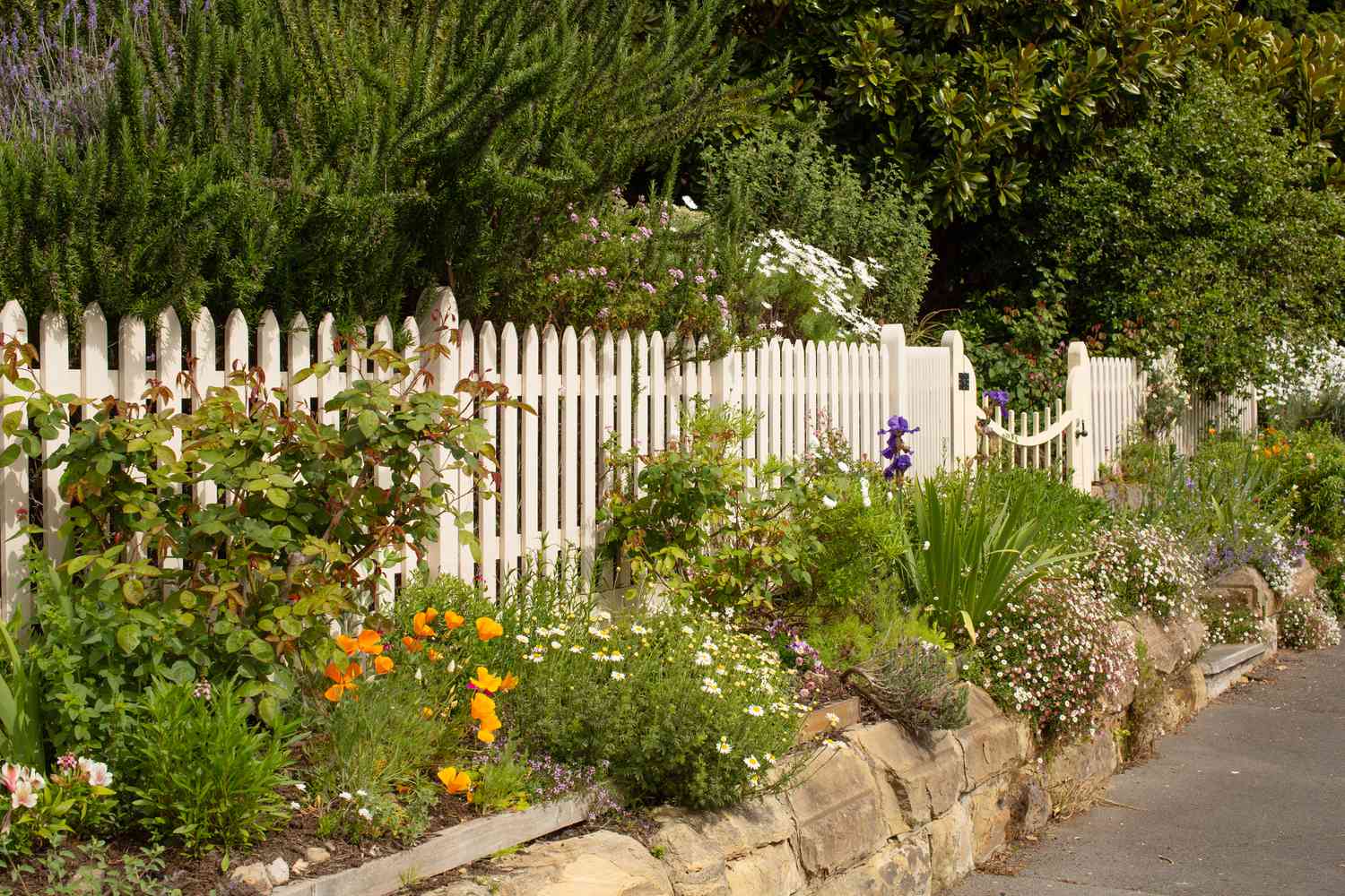 White garden fence with flowers
