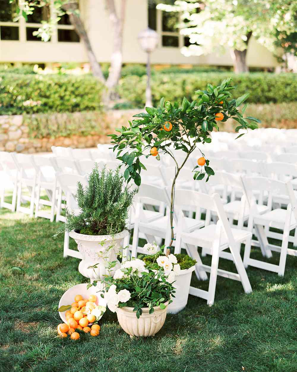 orange tree ceremony decoration