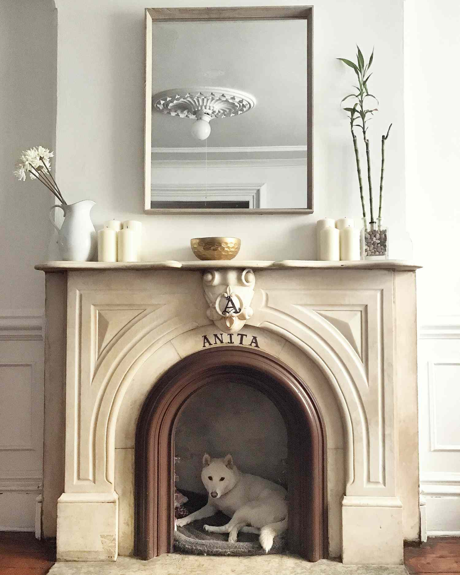 Dog House in Fireplace