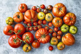 tomato varieties