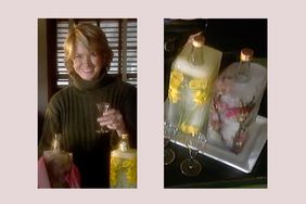 decorvow holding a drink and bottles encased in decorative ice displayed on a tray