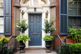 Elegant entrance to a building with plants flanking the main door