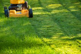 Lawn being mowed with a lawnmower, half-cut grass visible