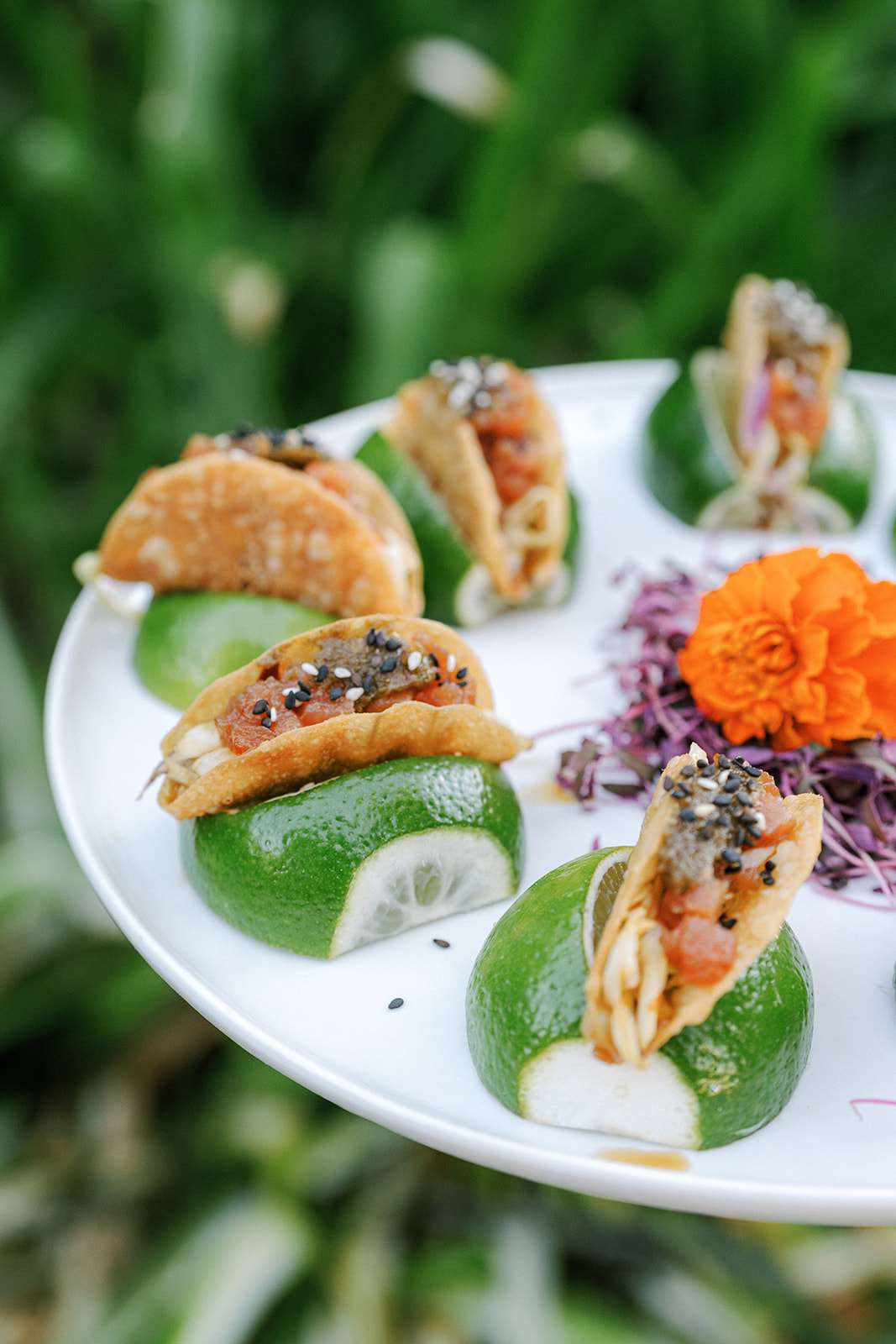 A selection of passed wedding finger food appetizers
