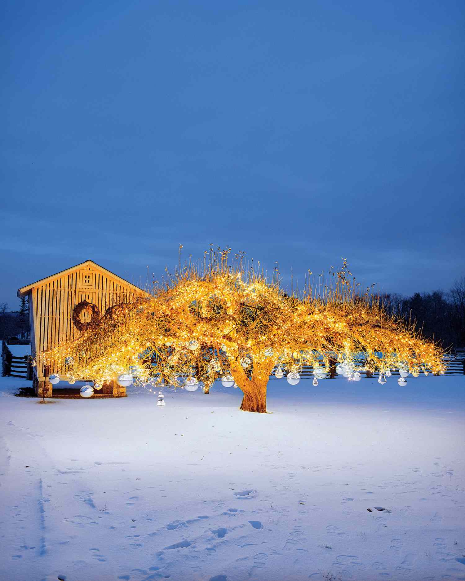 Christmas lights and kugel ornaments on Martha's tree