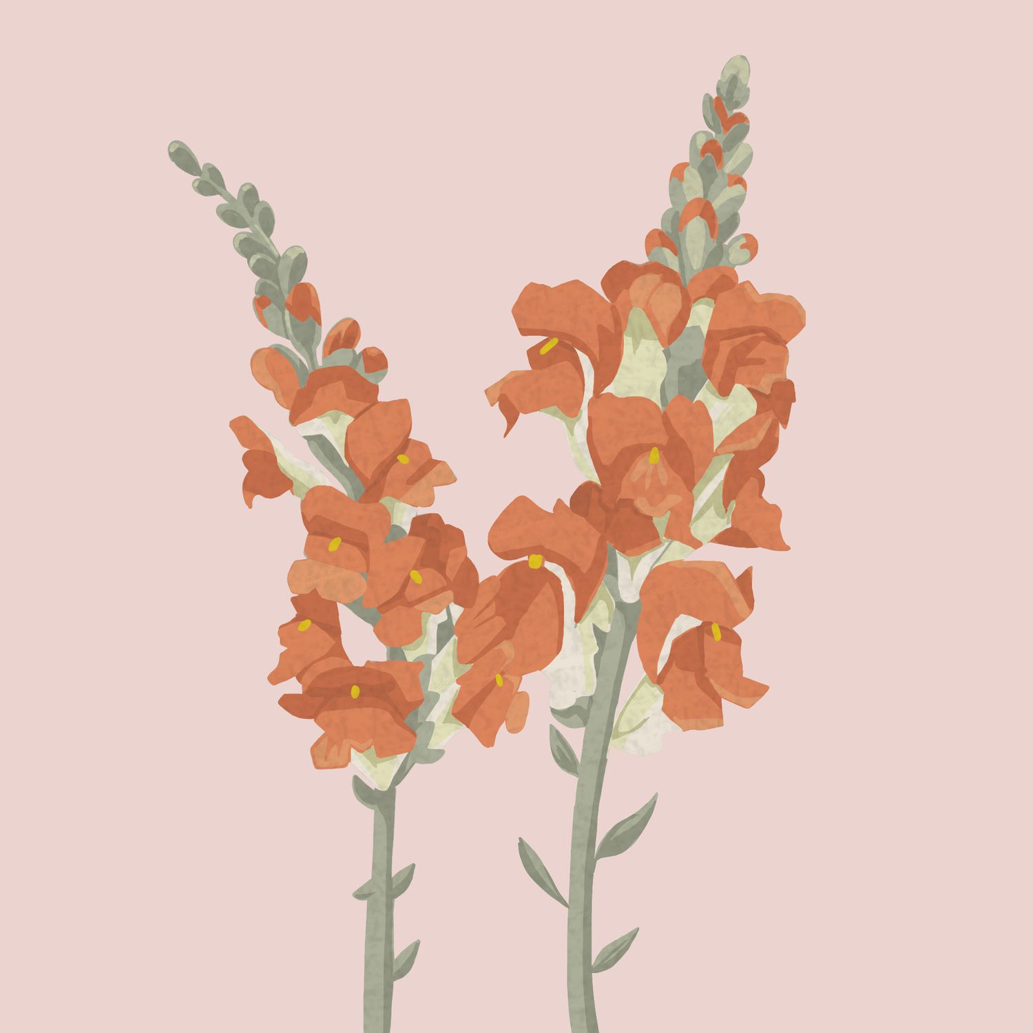 grocery store flowers