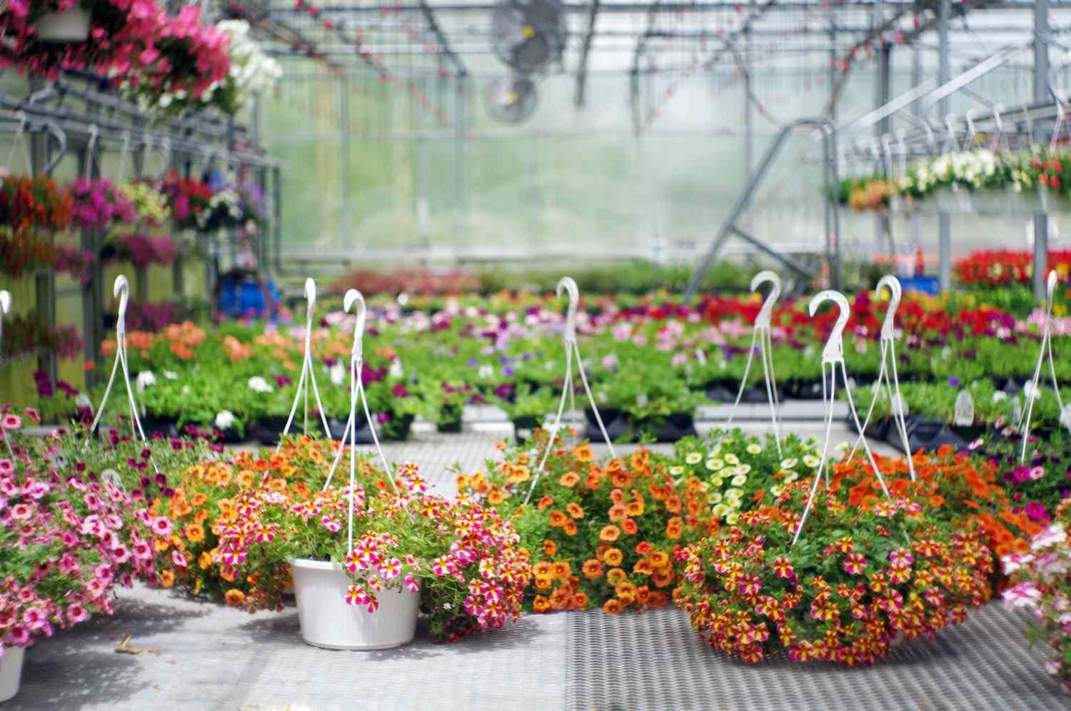 garden center shopping tips