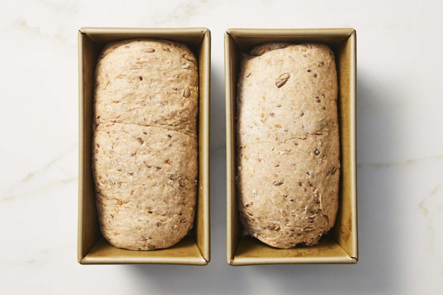 Multigrain bread dough in pan