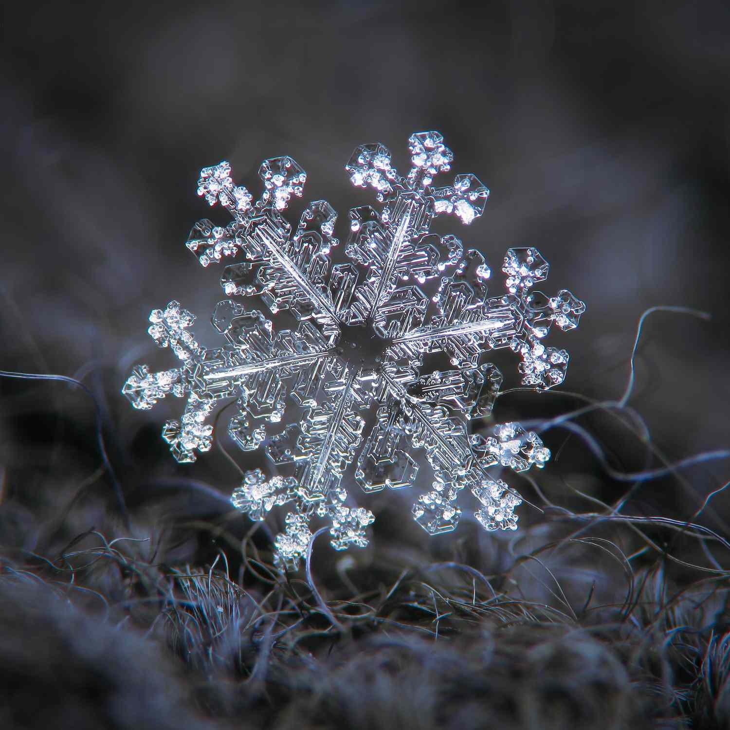 Closeup of a snowflake on a textured surface
