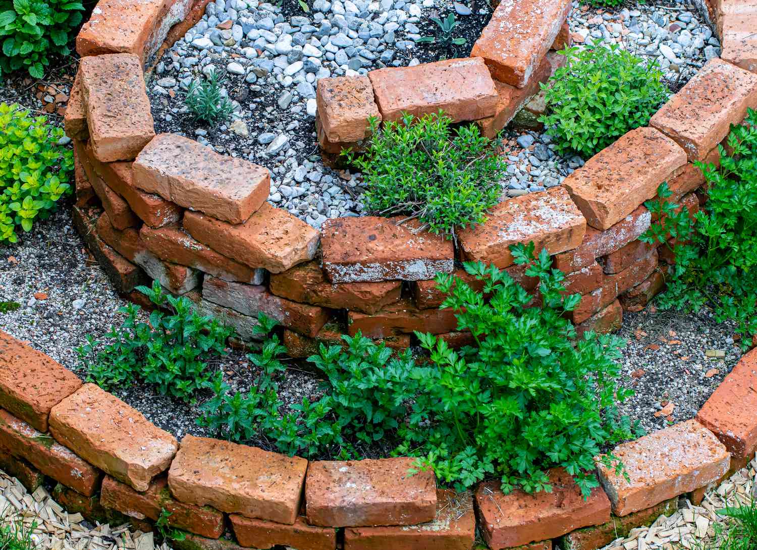 overhead view of an herb spiral