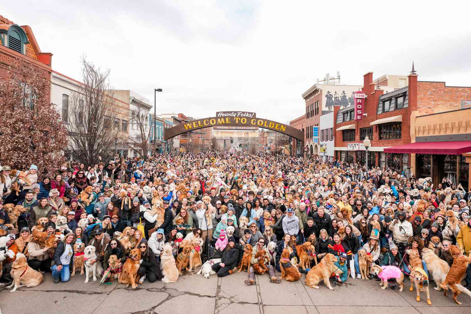 Golden Retrievers with their owners in Colorado 