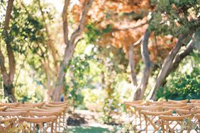 potted plants aisles natalie bray