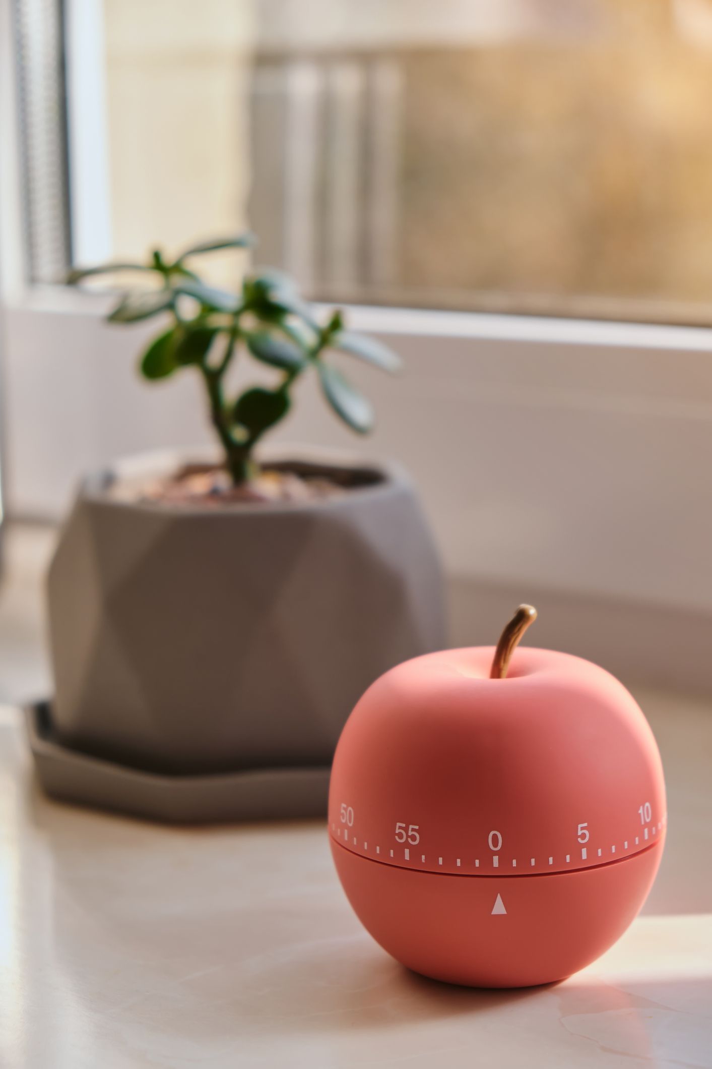 Kitchen timer shaped like an apple next to a potted plant on a windowsill
