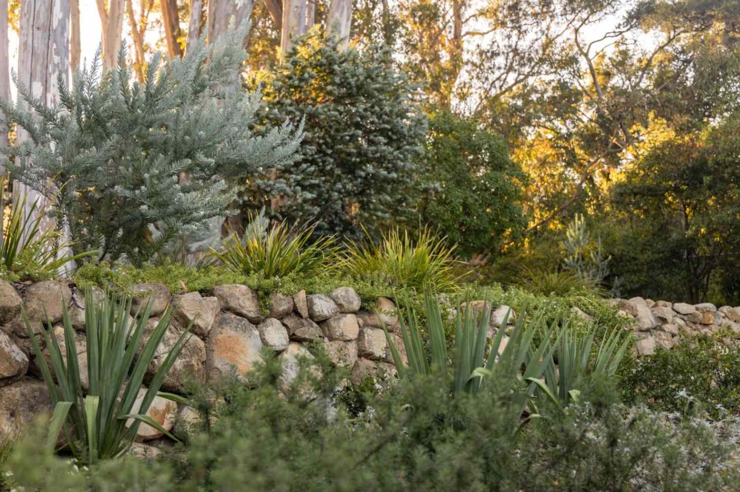 Planting beds at top and bottom of retaining wall