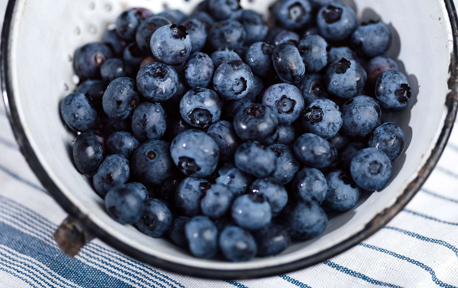 Blueberries in colander freshly washed 