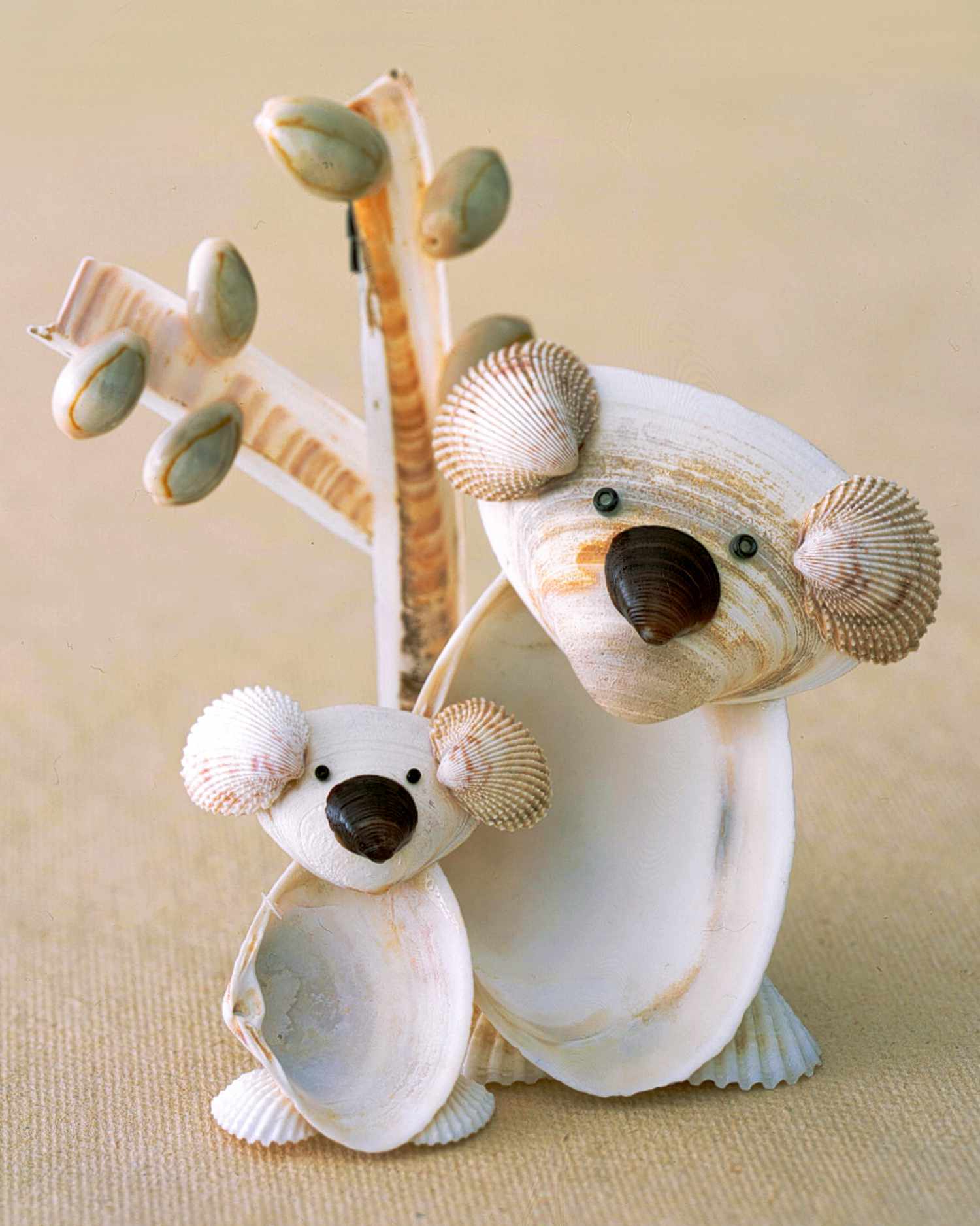shell koalas
