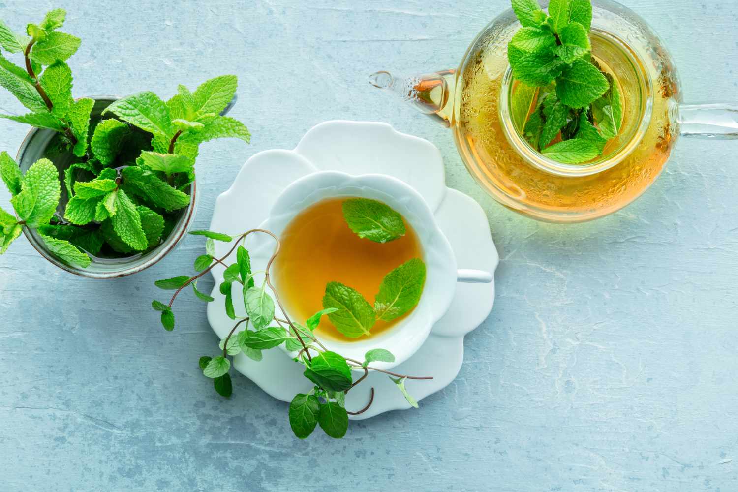 A cup and teapot of herbal tea with mint leaves alongside a pot of fresh mint