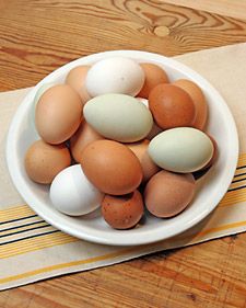 1116_craft_eggs.jpg