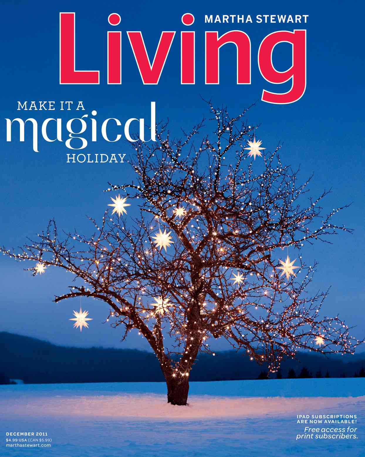 decorvow Living December 2011 Cover