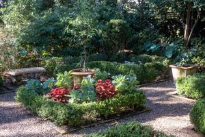 Lined Gravel Pathway 