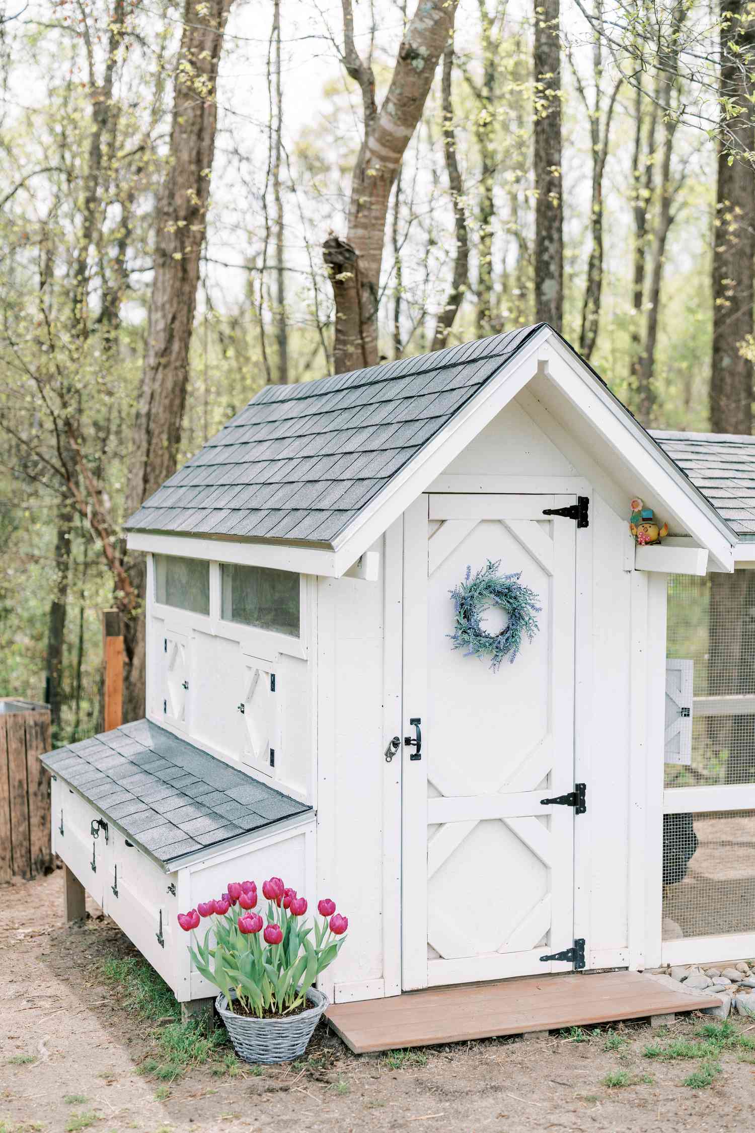 Chicken coop with gable roof