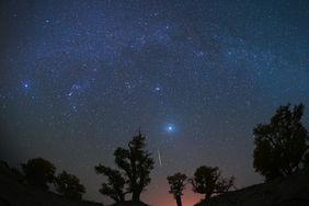 Night sky with visible trees and a meteor streak across the stars