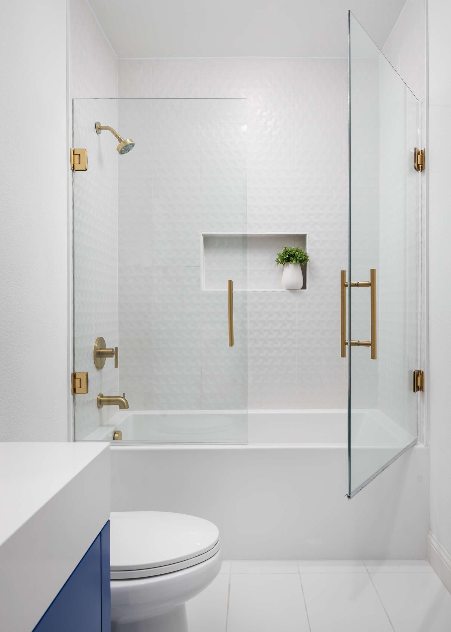Glass Door Shower 