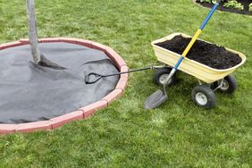 Garden setup with mulch cart and red border section around a tree, shovel and tools placed on grass nearby