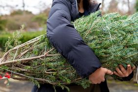 Person holding a bundled evergreen tree outdoors visible upper torso and arms engaged in carrying