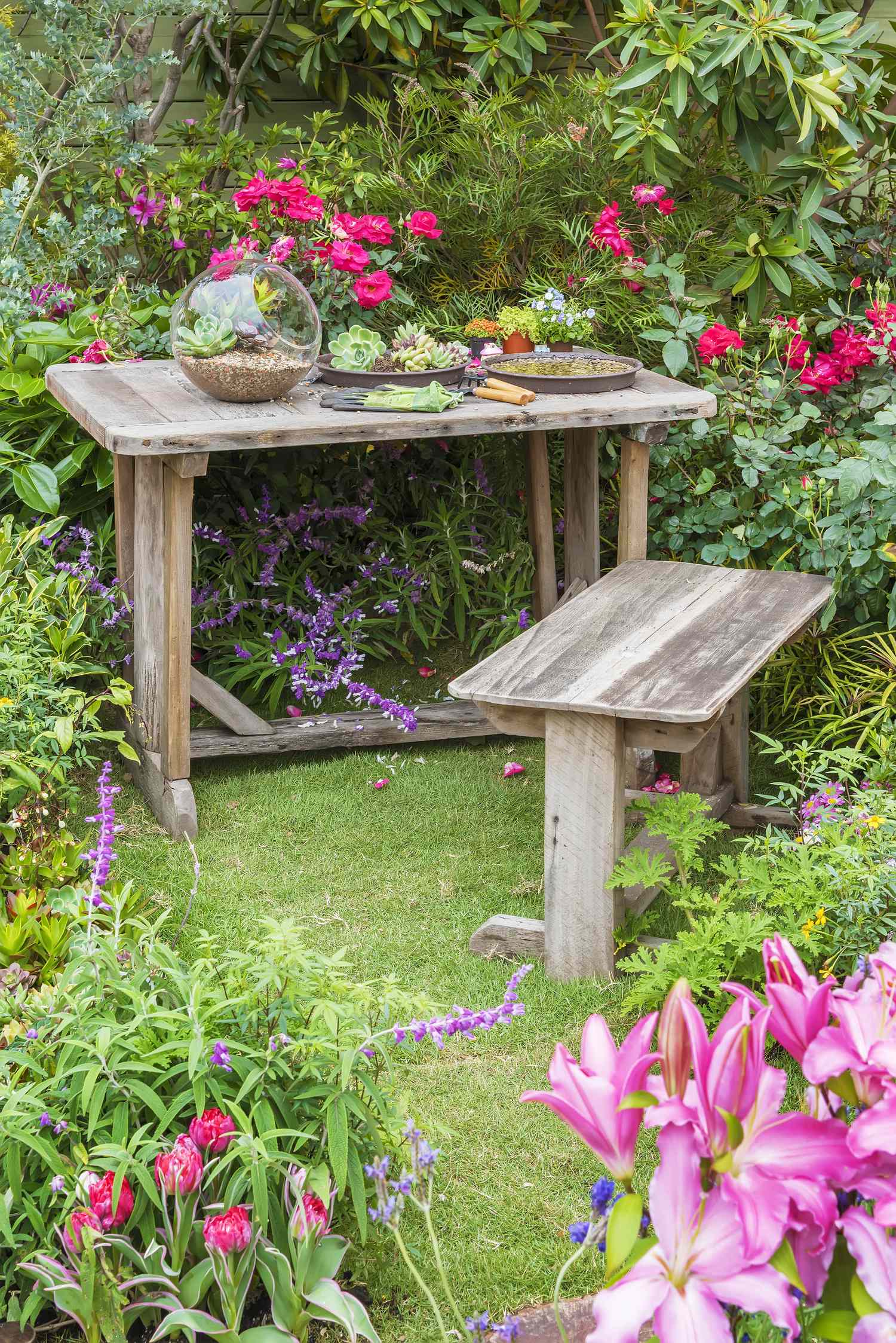 A rustic wooden table and bench surrounded by vibrant garden flowers and greenery