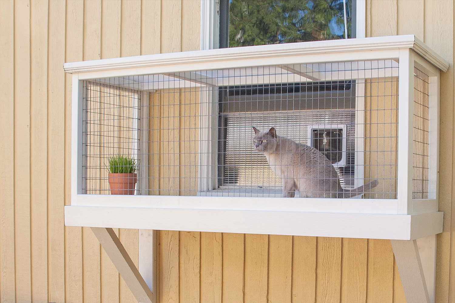 Window box catio