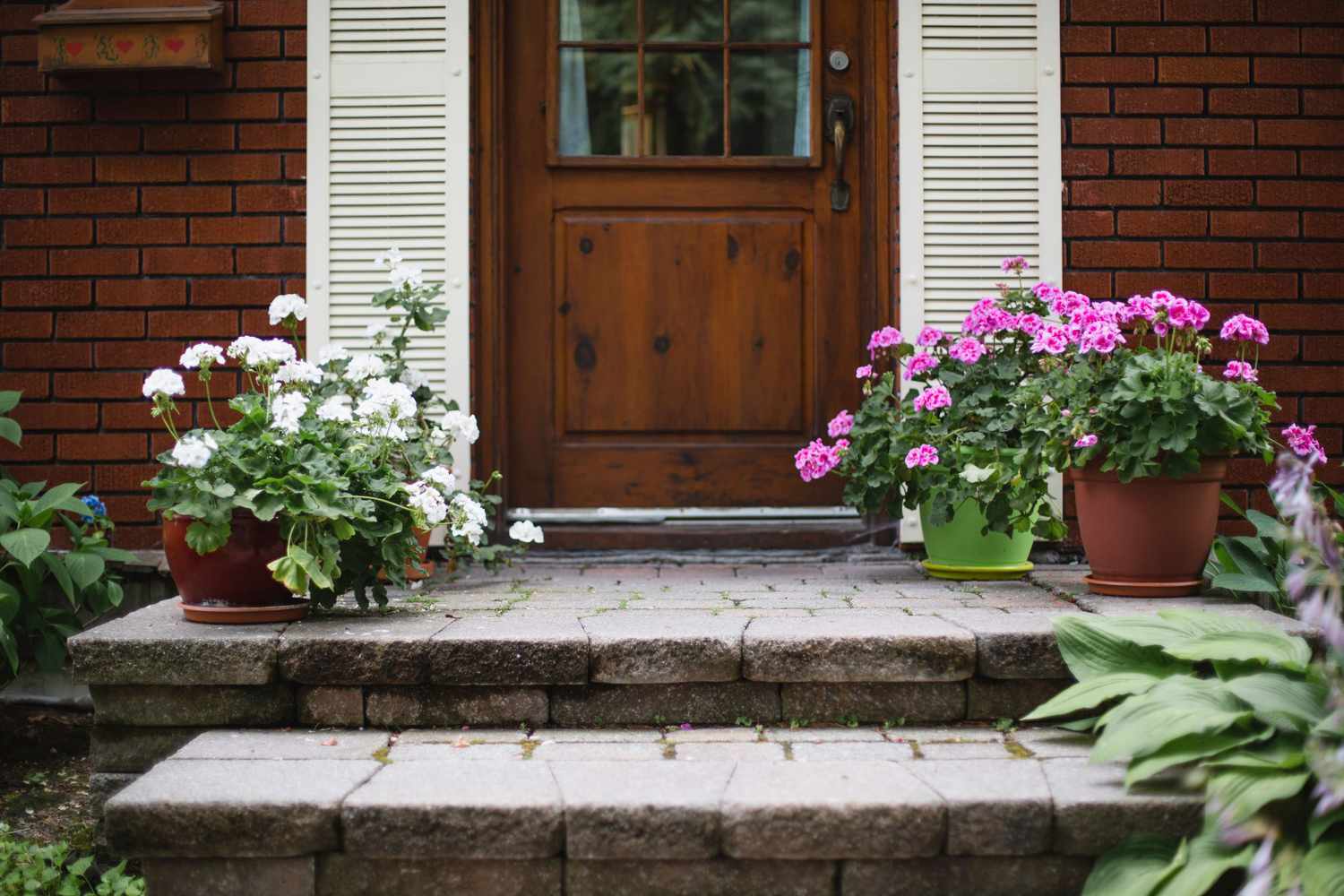 Potted flowers on the front stoop
