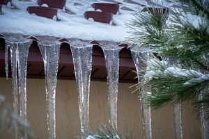 Icicles hanging from a roofs edge with snow and pine branches nearby