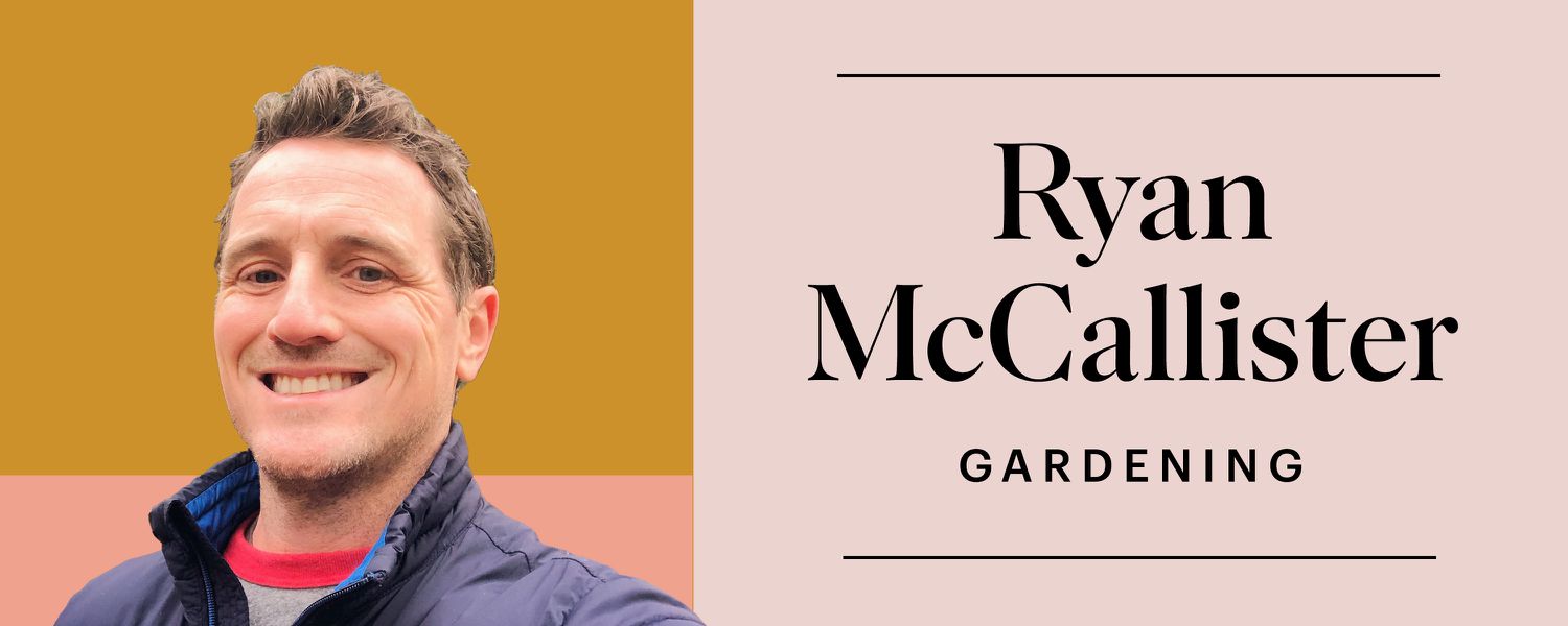 Martha Collective: Ryan McCallister