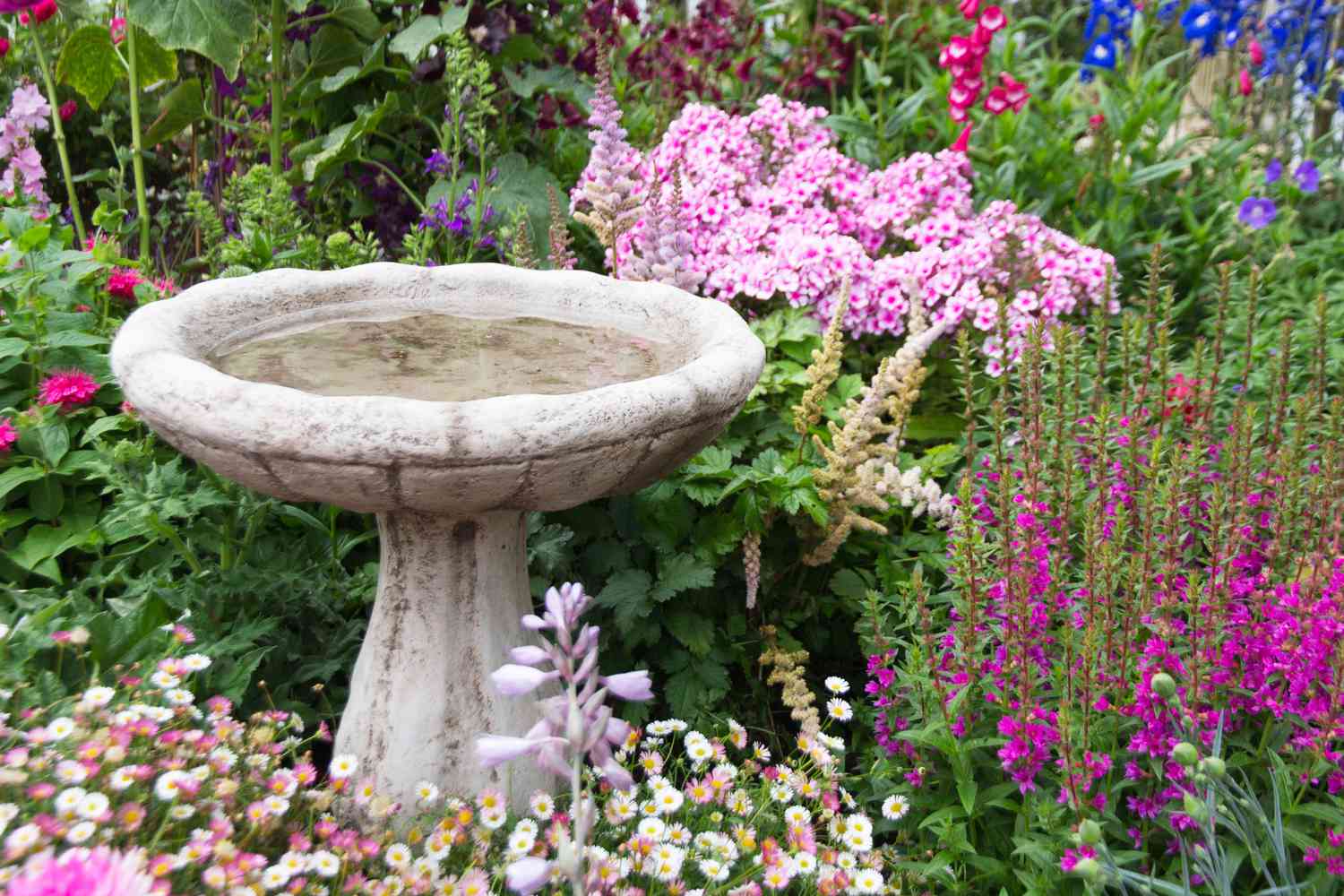 Birdbath in garden
