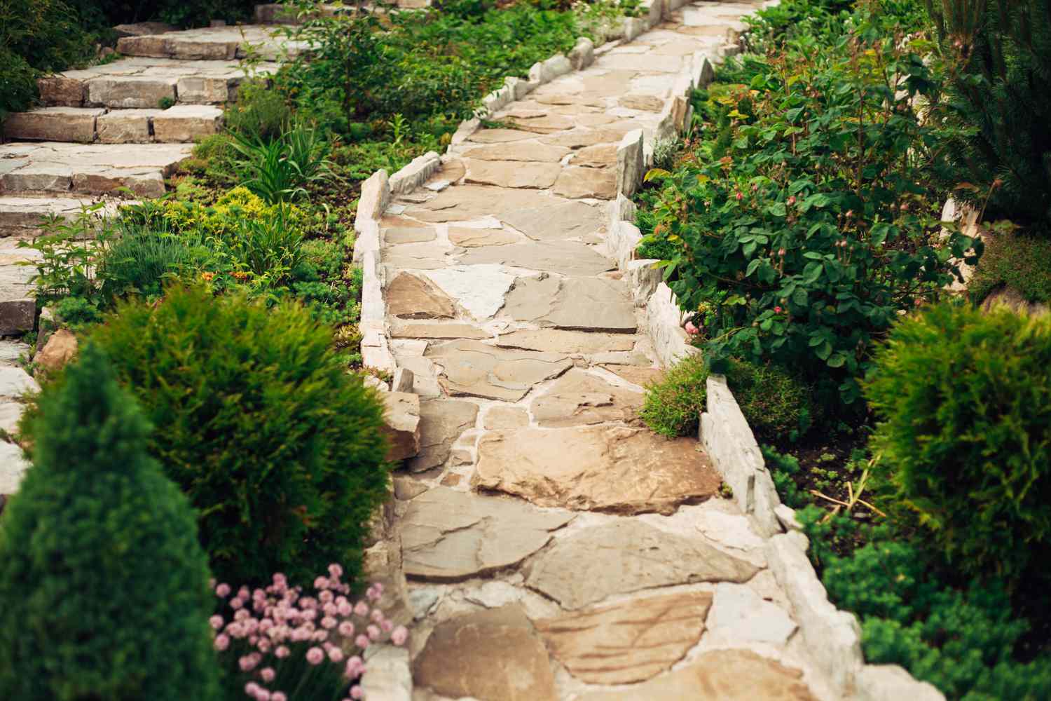 Stone walkway in garden