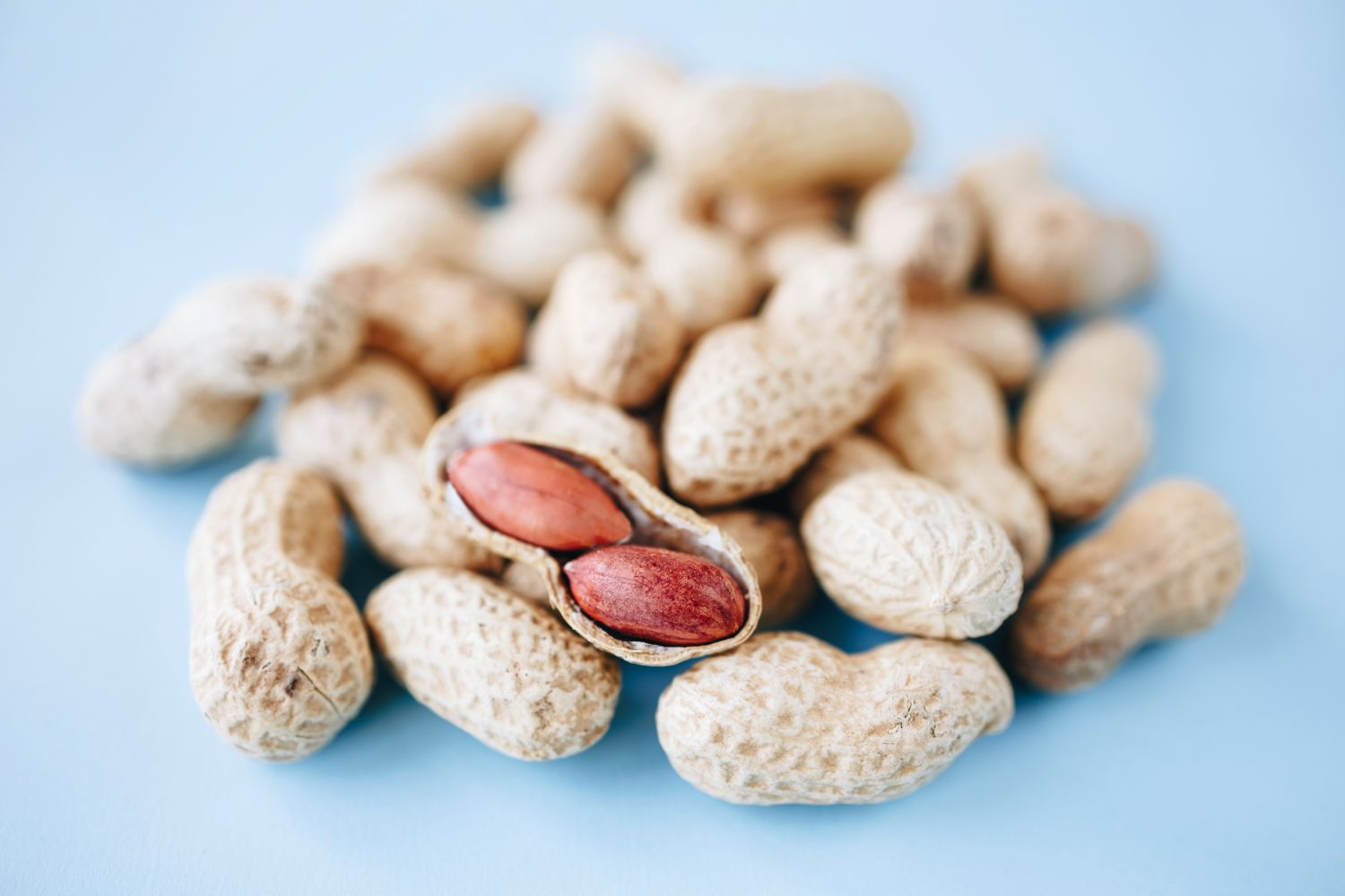 A heap of unshelled peanuts one opened revealing two nuts inside