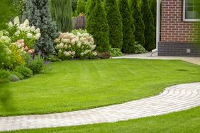 A landscaped yard with a lawn flower beds trees and a paved pathway leading towards a brick building