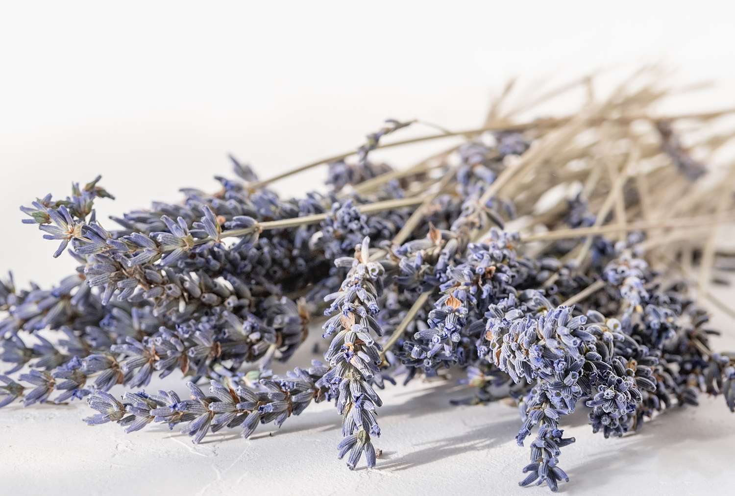 A bunch of dried lavender stems and flowers