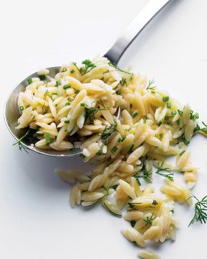med105388_0110_sid_orzo.jpg
