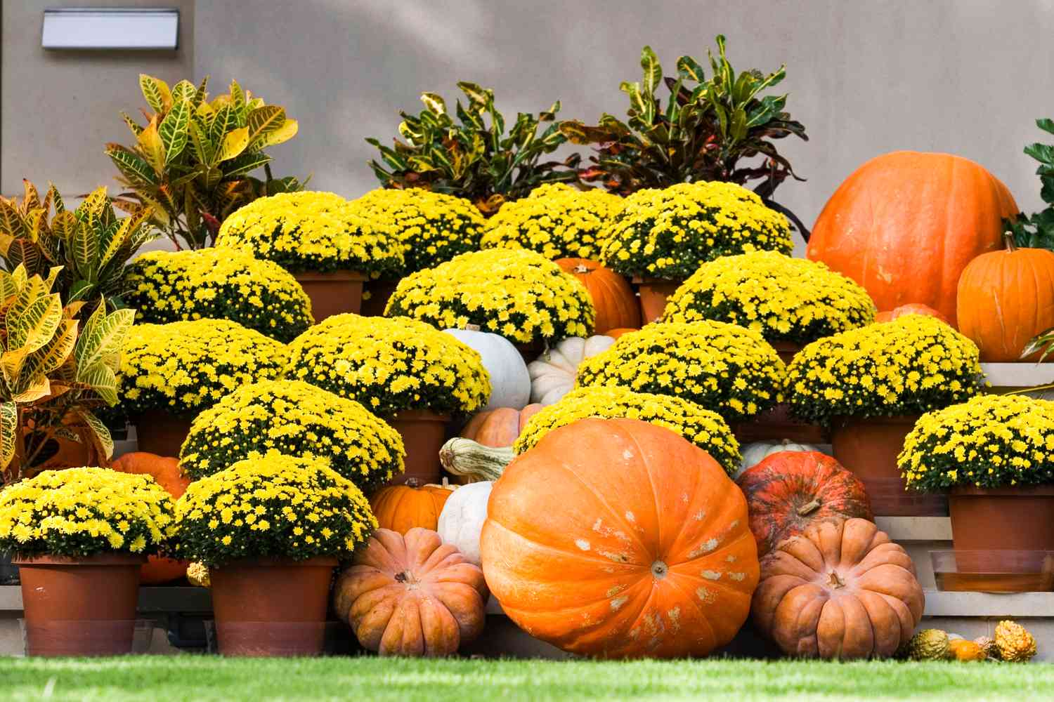 Porch filled with mums