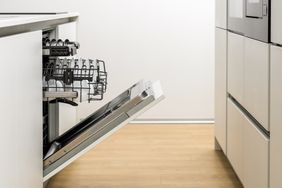 Dishwasher open