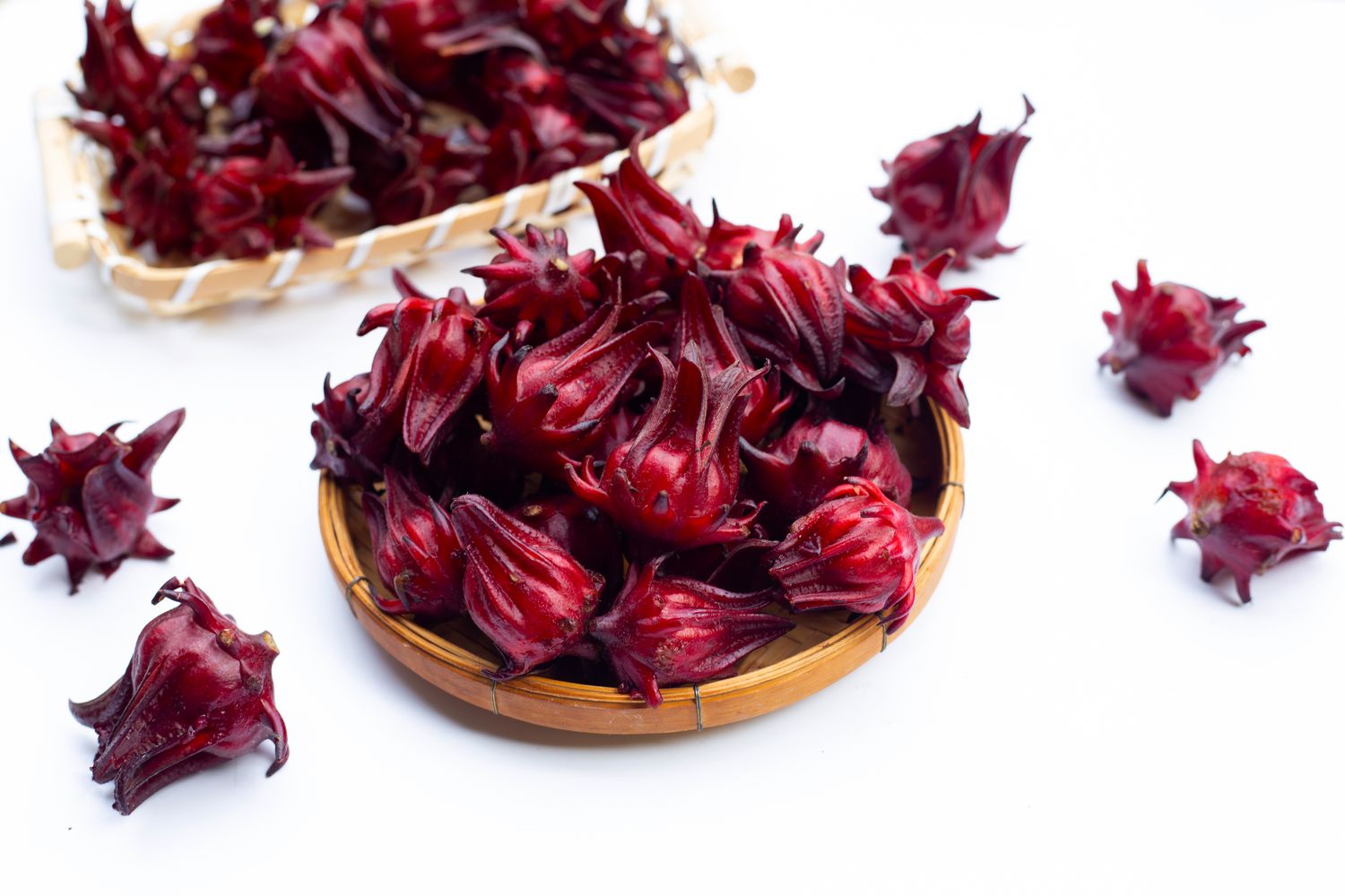 Roselle flower isolated on white background.