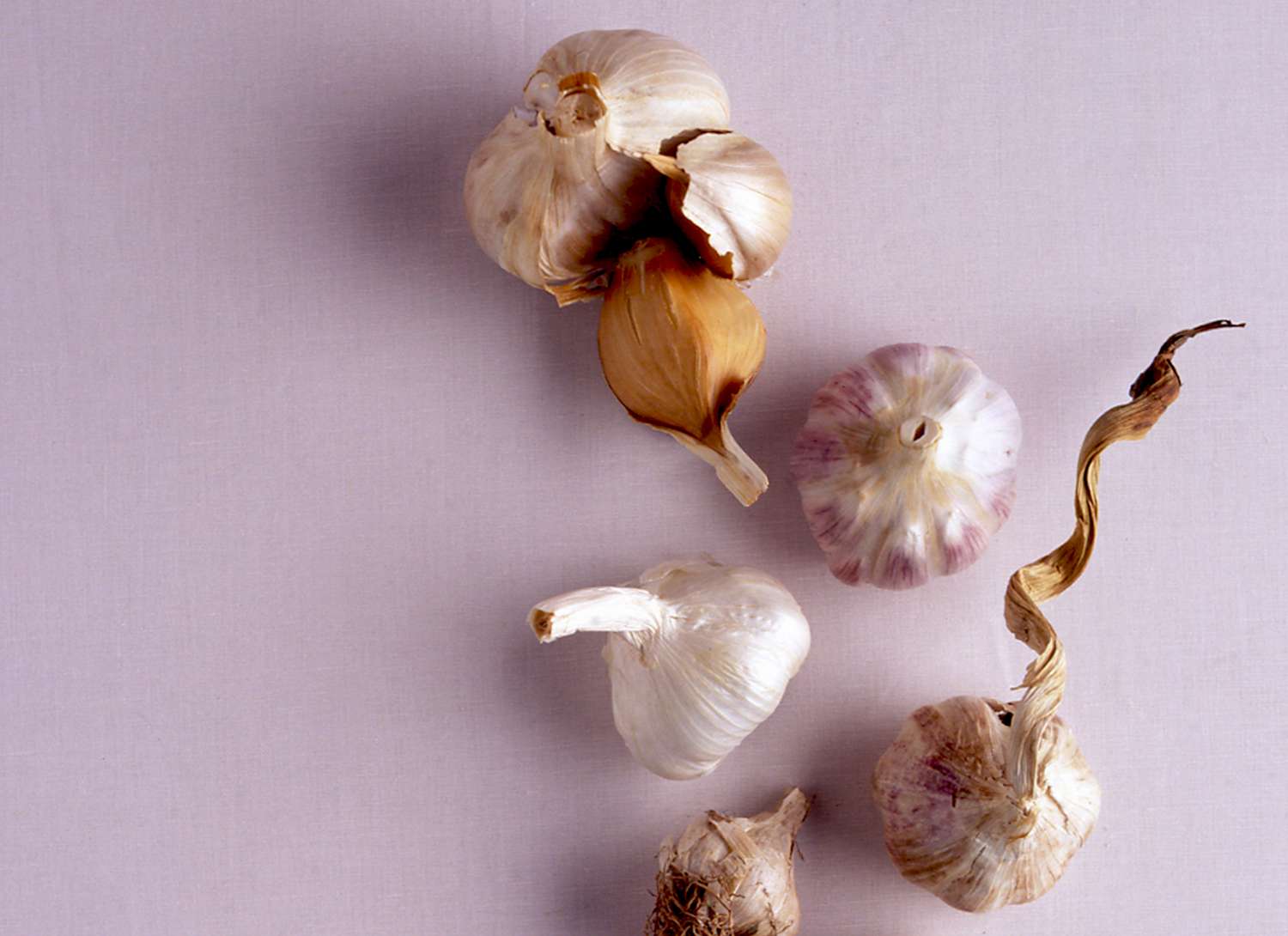 multiple garlic bulbs on a pale lavender surface