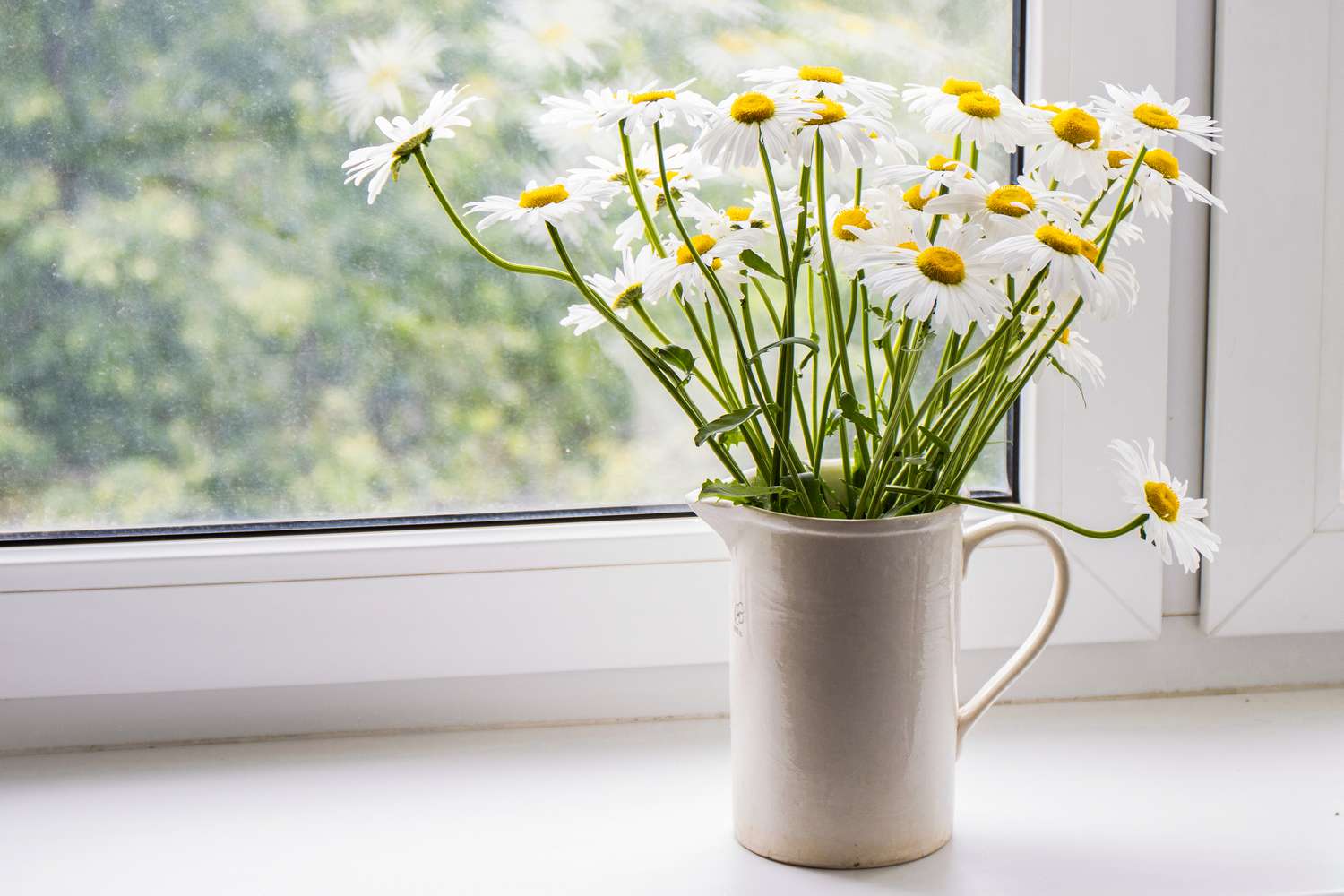 daisy bouquet in pitcher