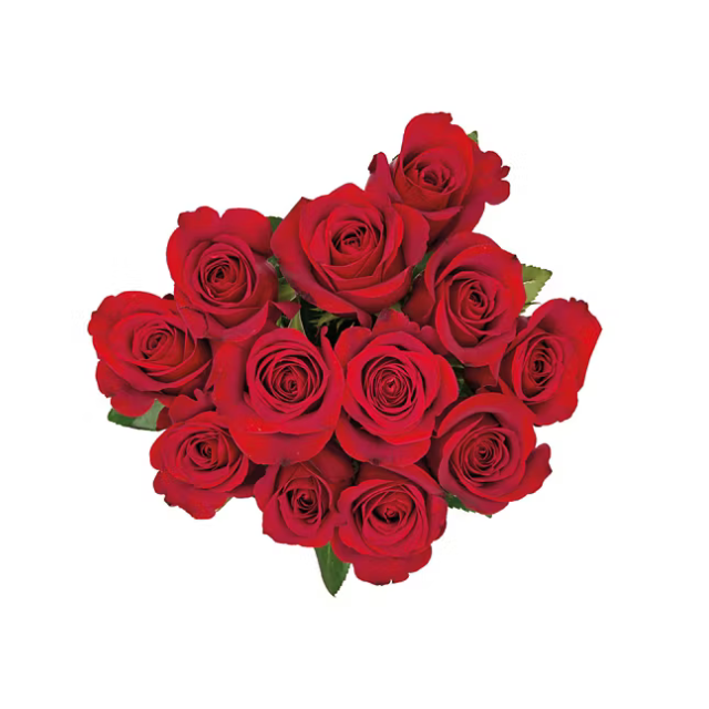 A bouquet of roses arranged in a circular cluster