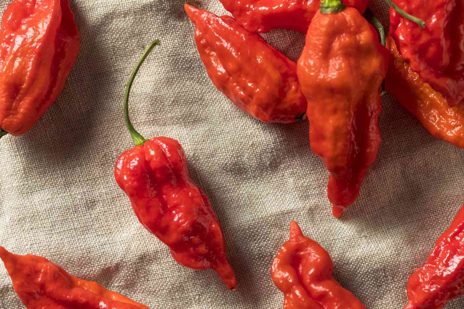 ghost pepper