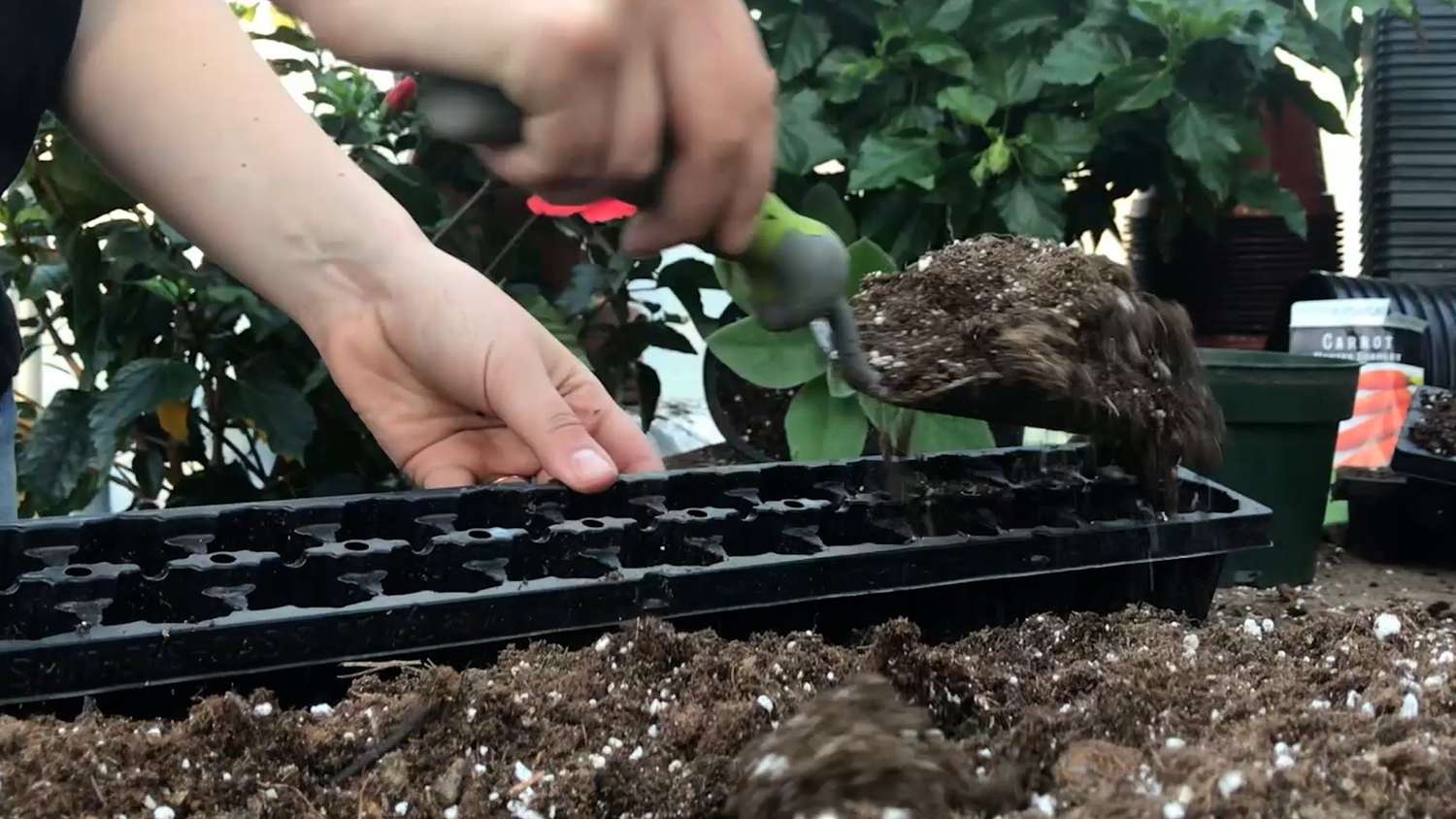 Adding soil to container