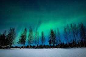 Aurora borealis in the night sky with silhouettes of trees in the foreground