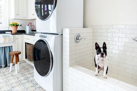 Dog Bath Laundry Room